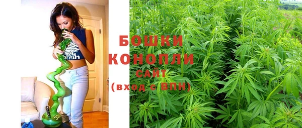 ECSTASY Надым
