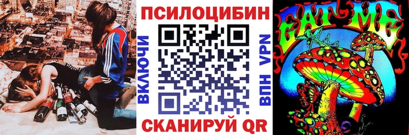 Псилоцибиновые грибы GOLDEN TEACHER  магазин  наркотиков  Новокузнецк 