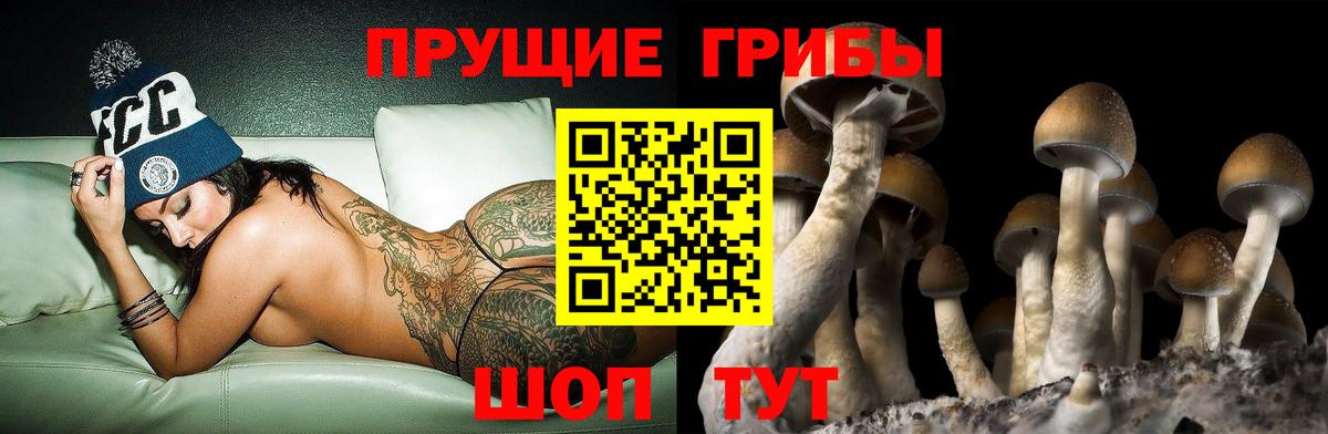 Галлюциногенные грибы мицелий  Псилоцибиновые грибы ЛСД  Новокузнецк  Вход с VPN 