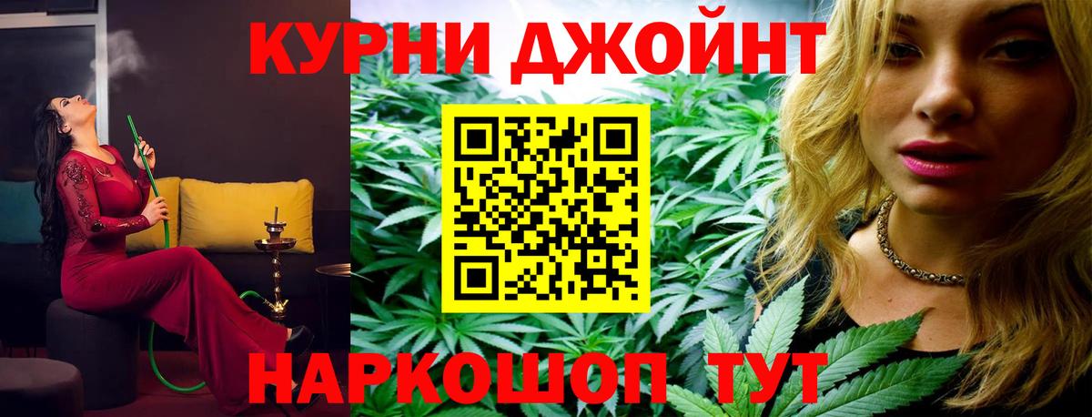 Каннабис гибрид Новокузнецк